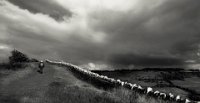 533 - WALKING INTO THE STORM - RENDELL ANGELA - united kingdom <div
